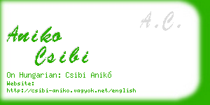 aniko csibi business card